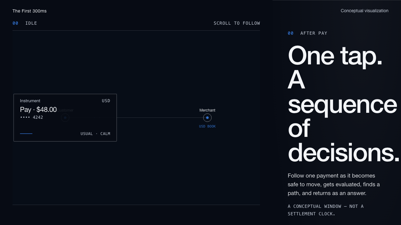 Stripe First 300 | Interactive Visual Storytelling screenshot