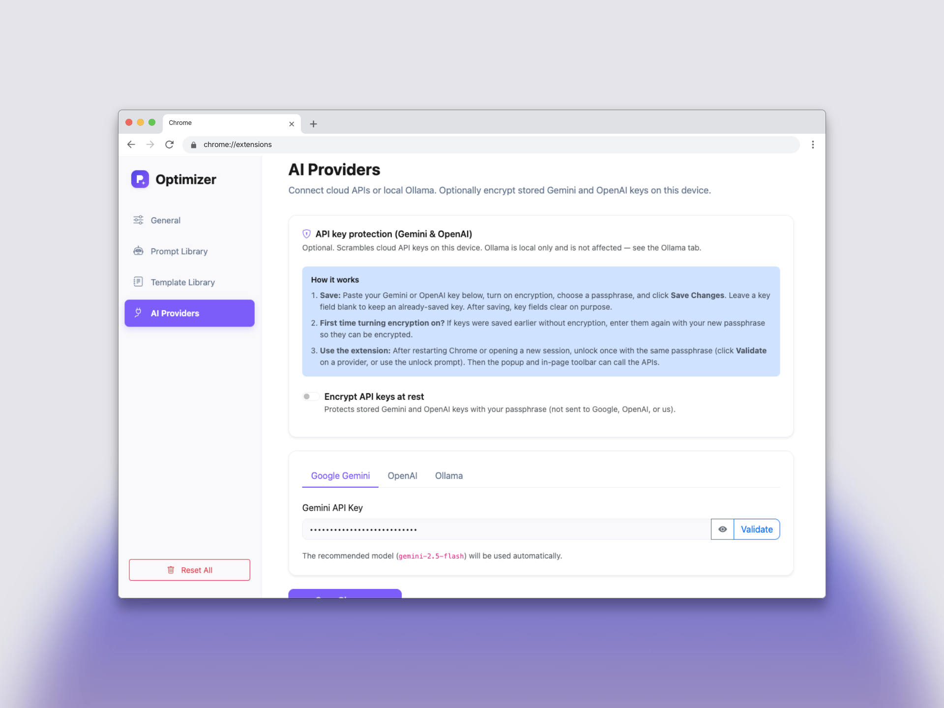 Options page for AI providers and optional API key encryption